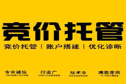 Sem优化公司实战：优化技巧与实战经验分享
